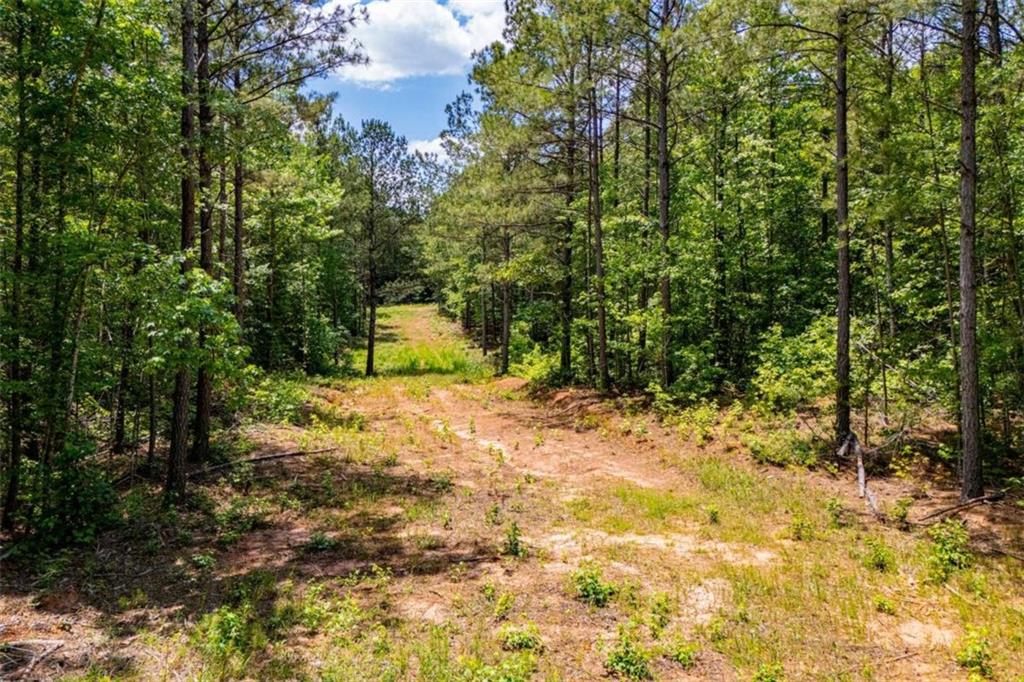 Us Highway 78 Property Photo 4