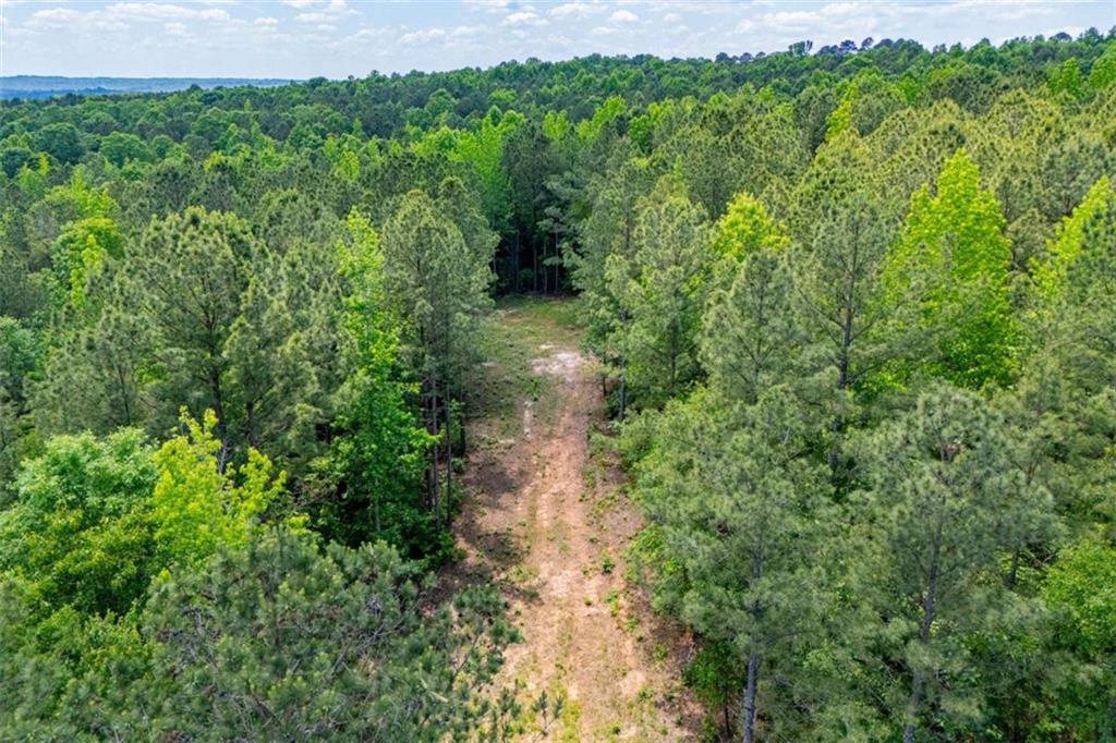 Us Highway 78 Property Photo 5