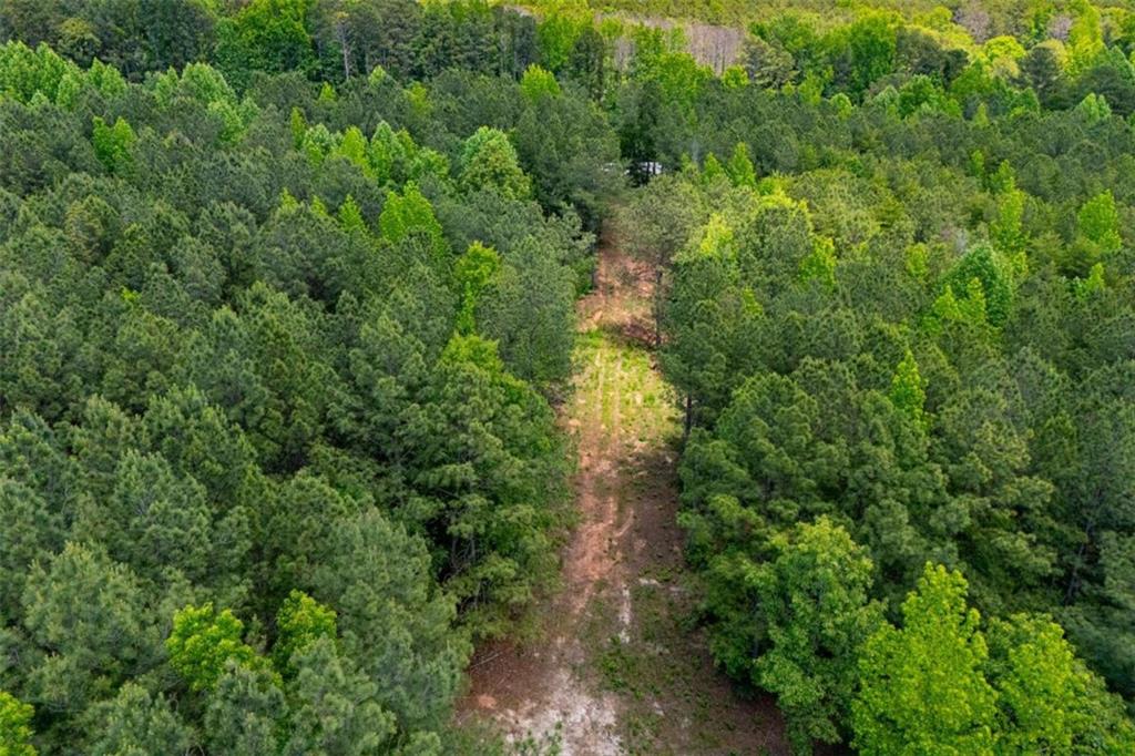 Us Highway 78 Property Photo 6