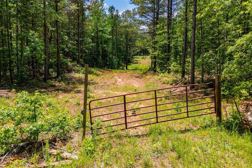 Us Highway 78 Property Photo 7