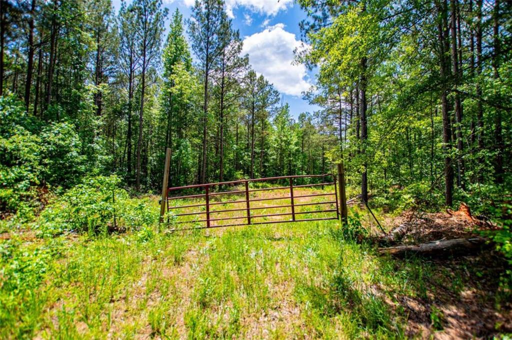 Us Highway 78 Property Photo 19