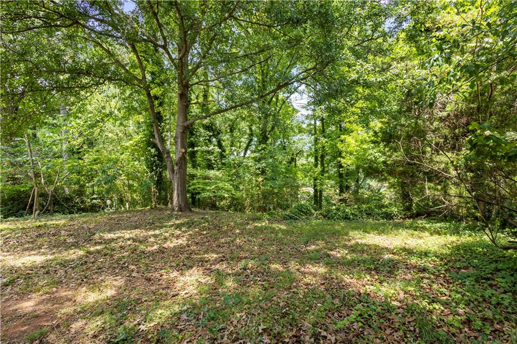 1673 Flintwood Drive Se Property Photo 34