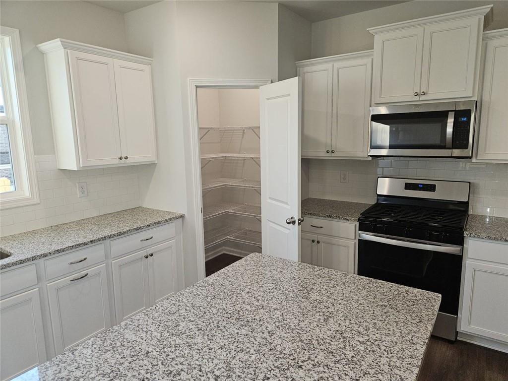 1574 Gin Blossom Circle Property Photo 9