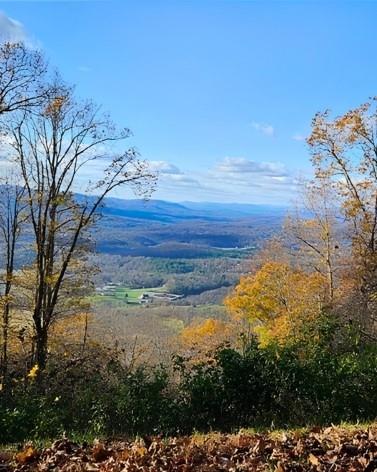 5 Rocky Knob Property Photo 2