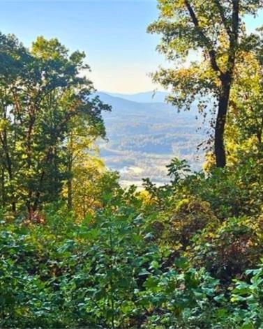5 Rocky Knob Property Photo 6