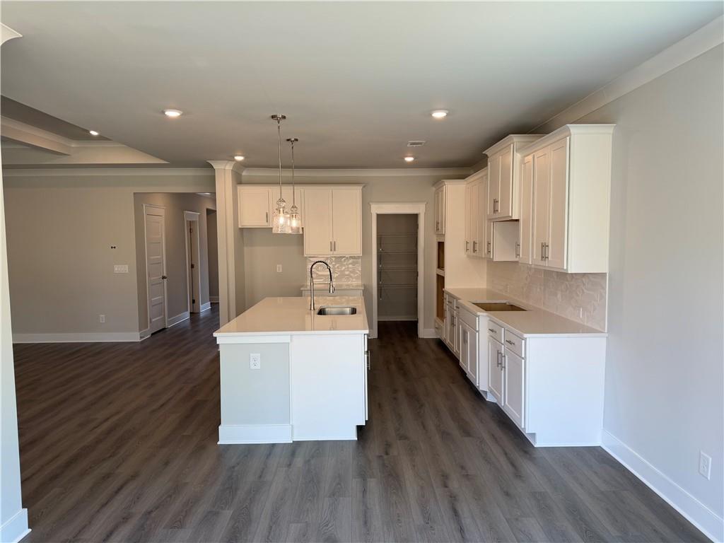 101 Bufflehead Pass Property Photo 14