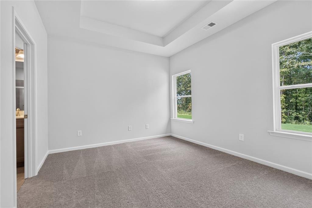 6 Rhine Trail Property Photo 22