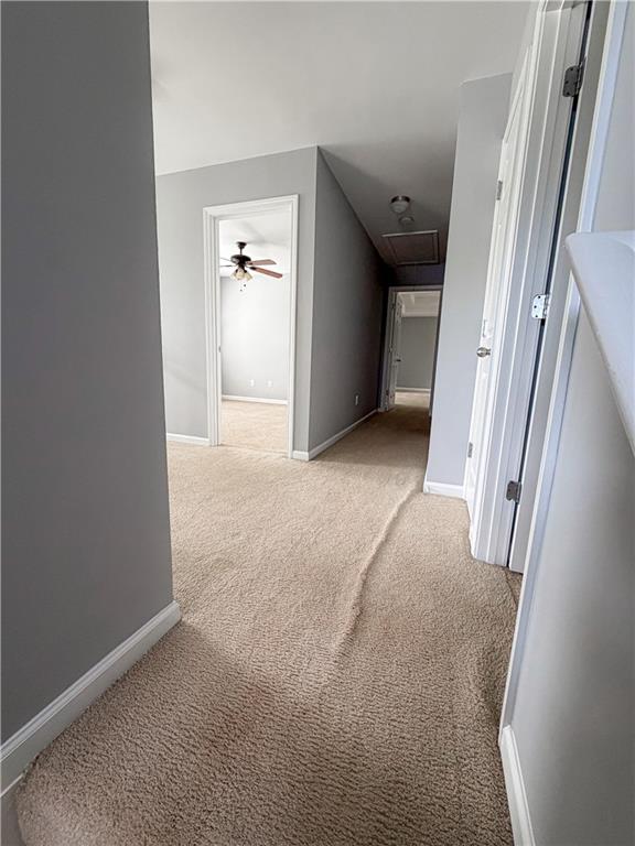 1020 Cyperts Trail Property Photo 34