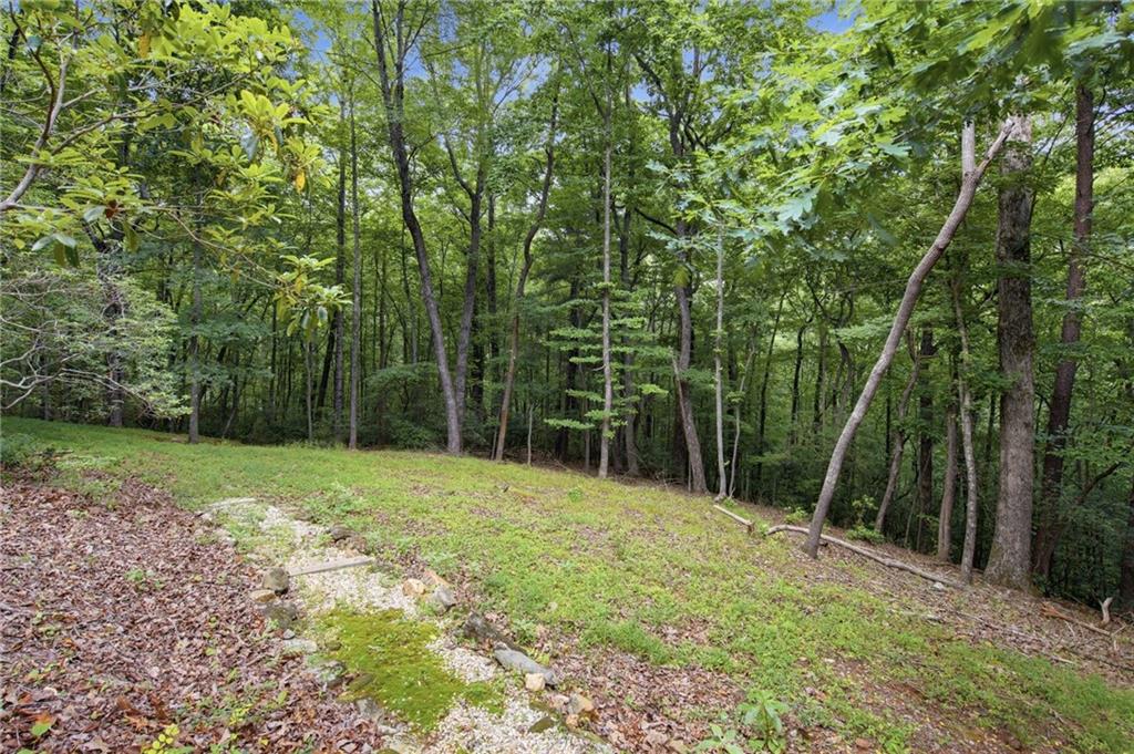 4154 Wilderness Parkway Property Photo 47