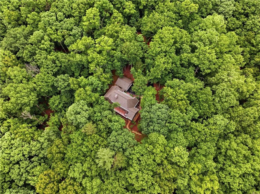 4154 Wilderness Parkway Property Photo 50
