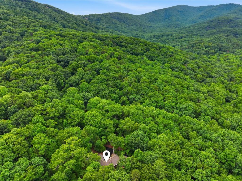 4154 Wilderness Parkway Property Photo 51