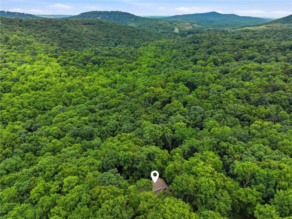 4154 Wilderness Parkway Property Photo 52