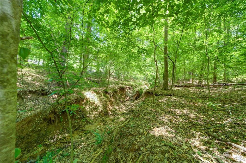 1981 Mountain Drive Property Photo 10