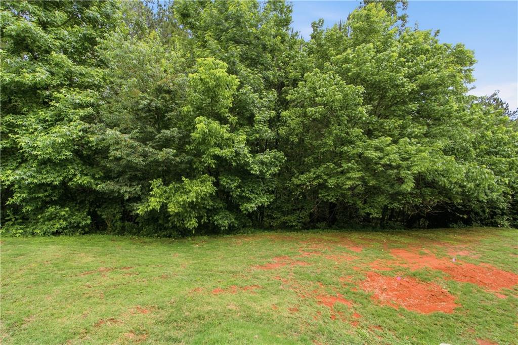 30 Roberson Drive Ne Property Photo 43
