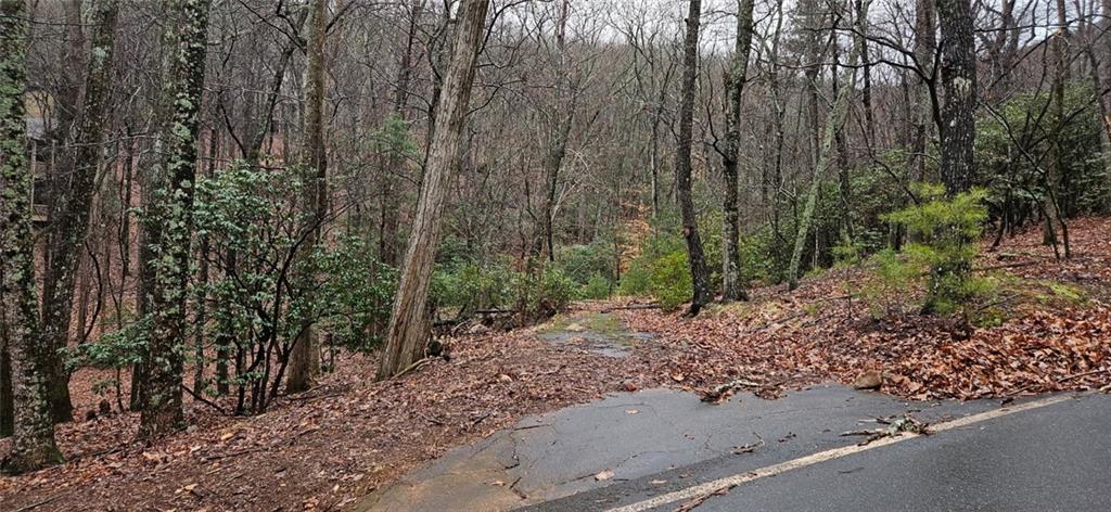 255 Woodland Trace Property Photo 1