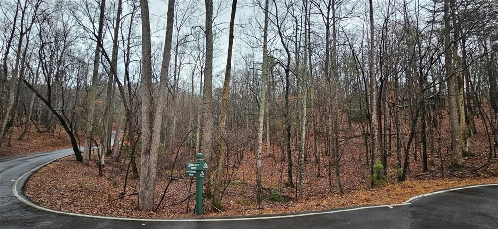 52 Fallen Deer Path Property Photo 1