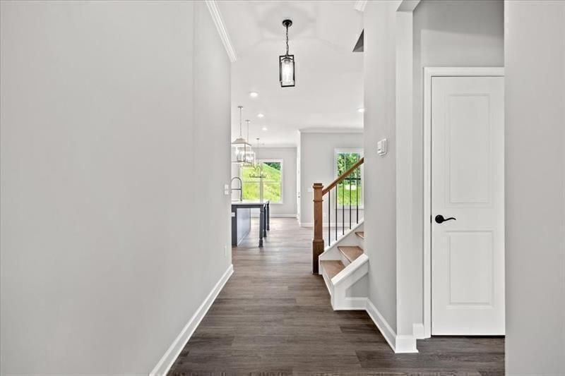 7778394 Property Photo 41