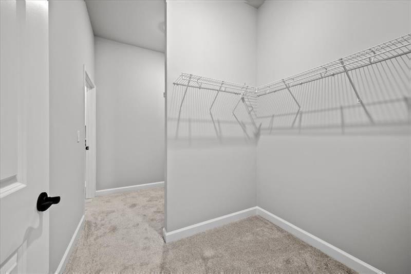 7778394 Property Photo 69