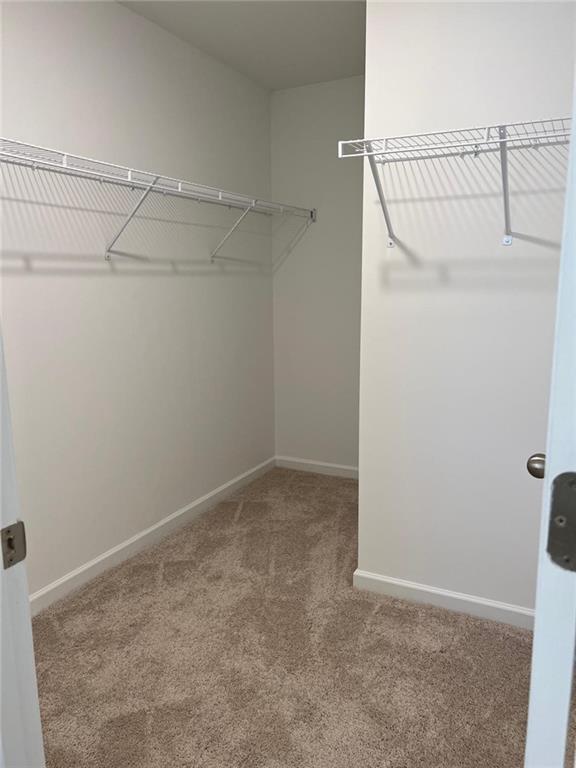 1391 Ben Park Way Property Photo 8