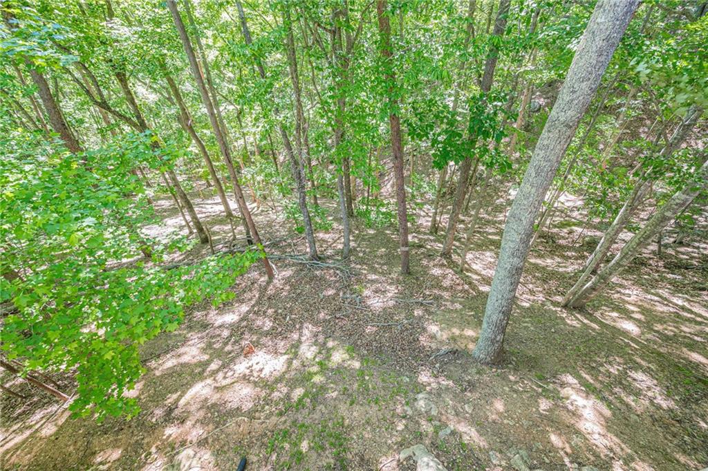 262 Morse Elm Loop Property Photo 48