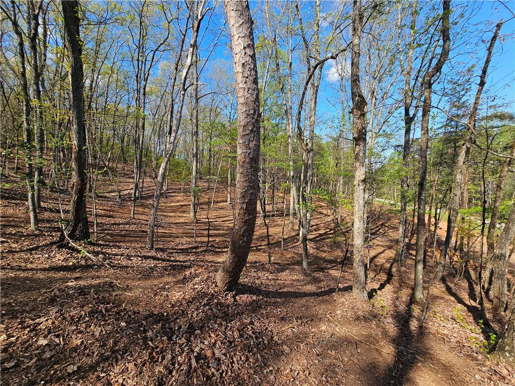 000 Old Federal Road Property Photo 35