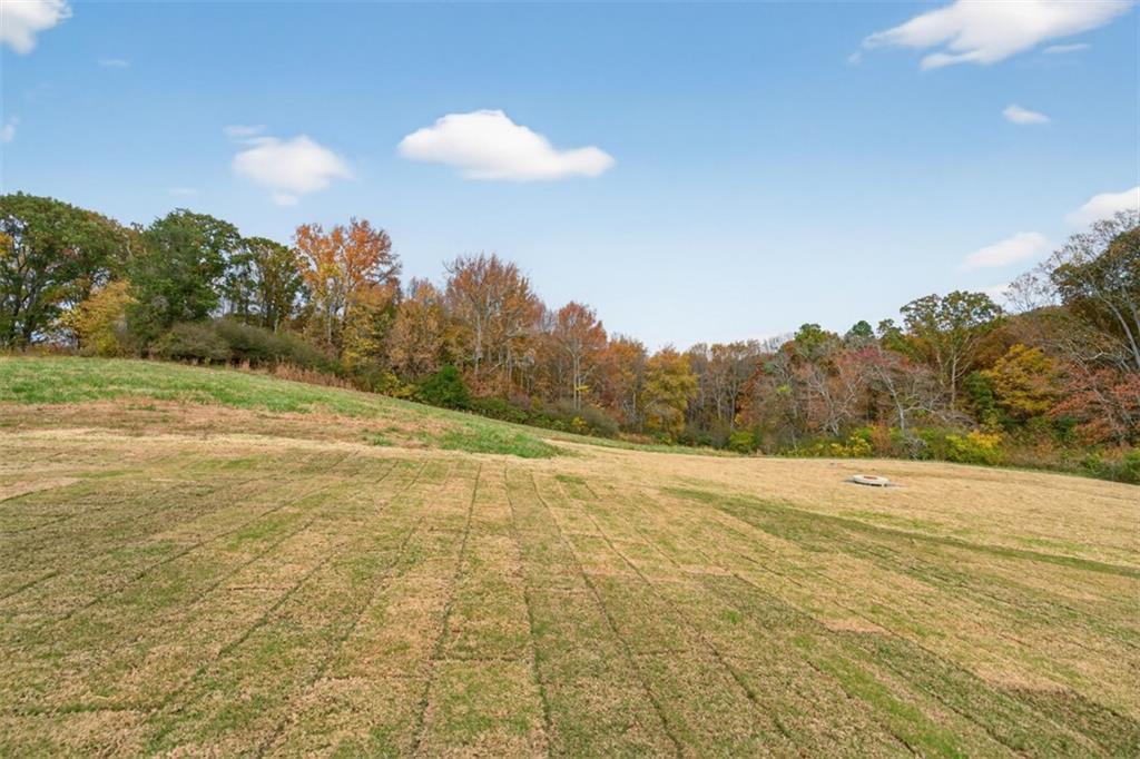 8845 Jot Em Down Road Property Photo 68