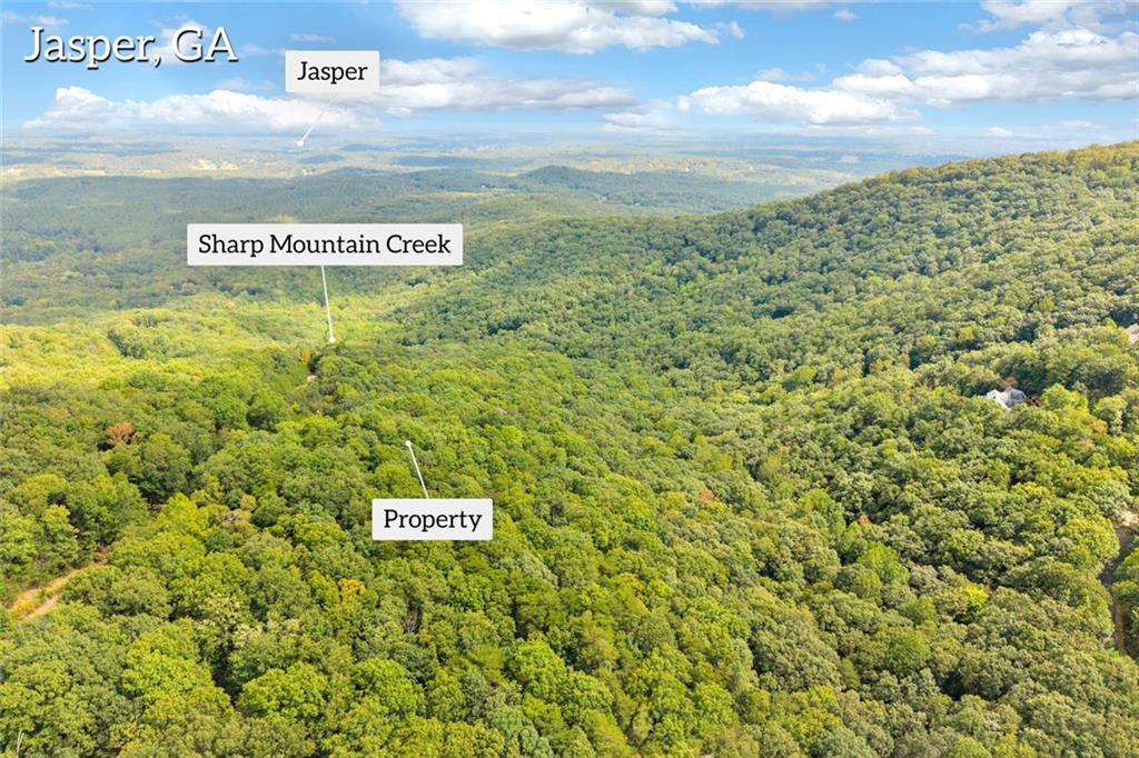 98 Sharp Mountain Parkway Property Photo 3