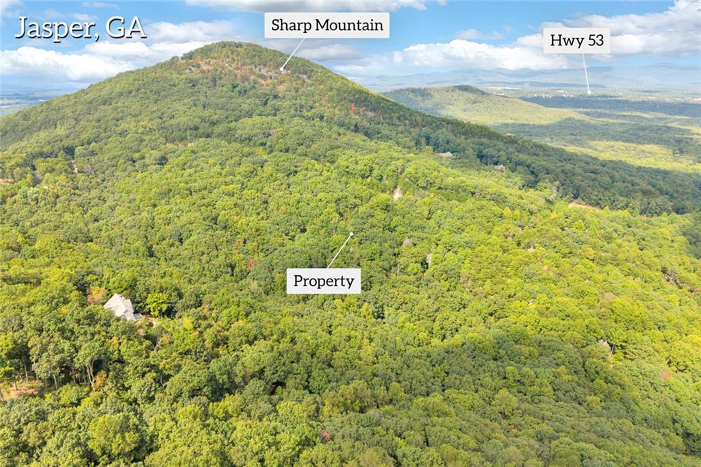 98 Sharp Mountain Parkway Property Photo 4