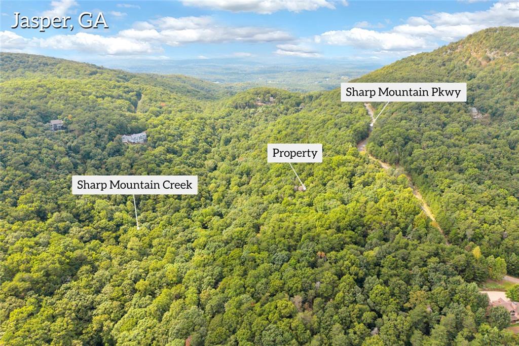 98 Sharp Mountain Parkway Property Photo 5