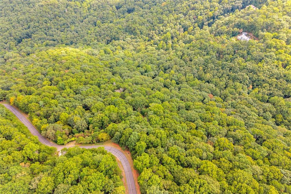 98 Sharp Mountain Parkway Property Photo 6
