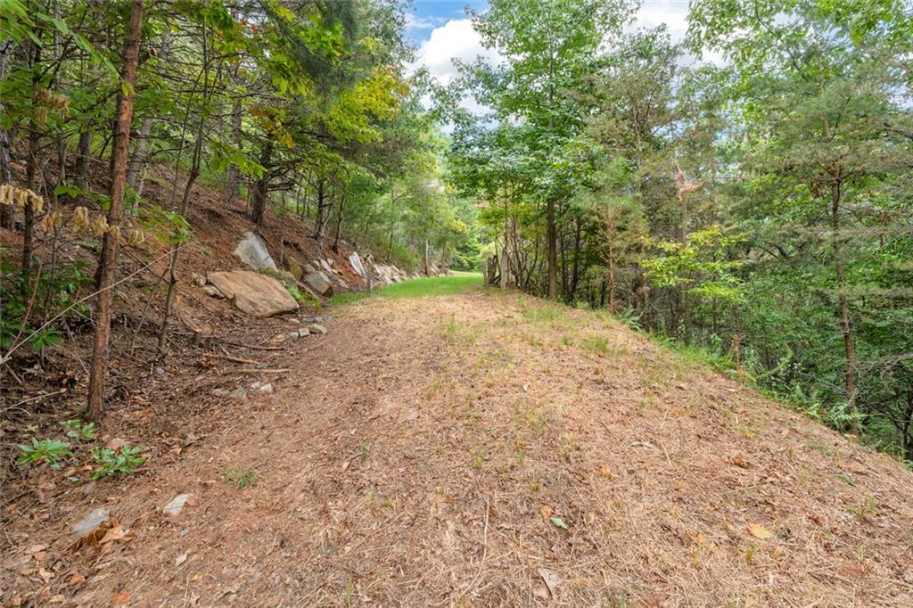 98 Sharp Mountain Parkway Property Photo 8
