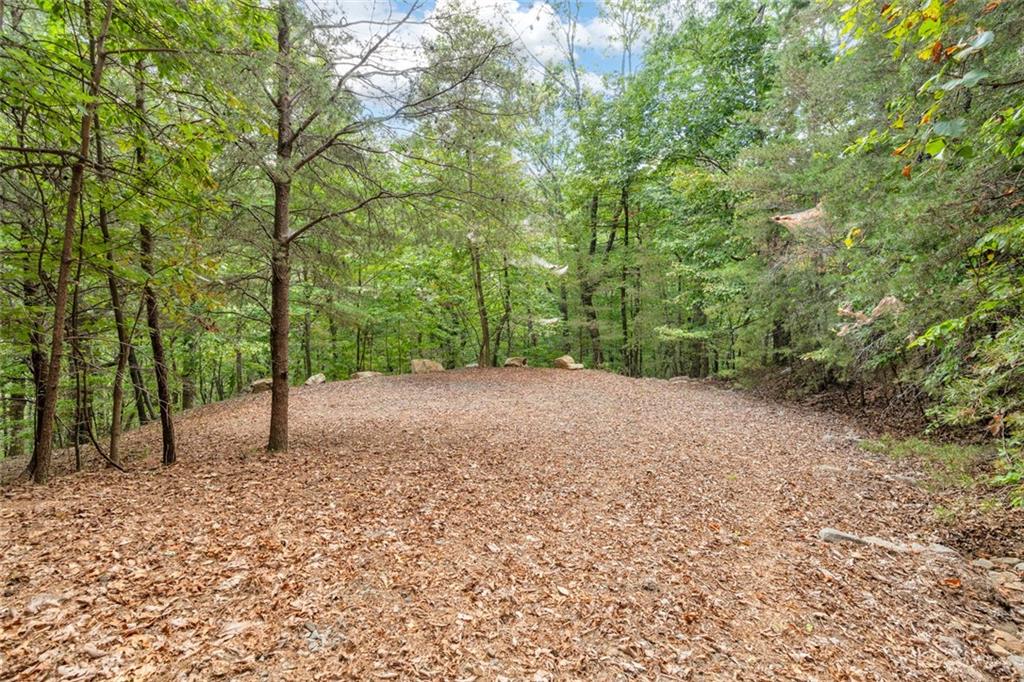 98 Sharp Mountain Parkway Property Photo 9