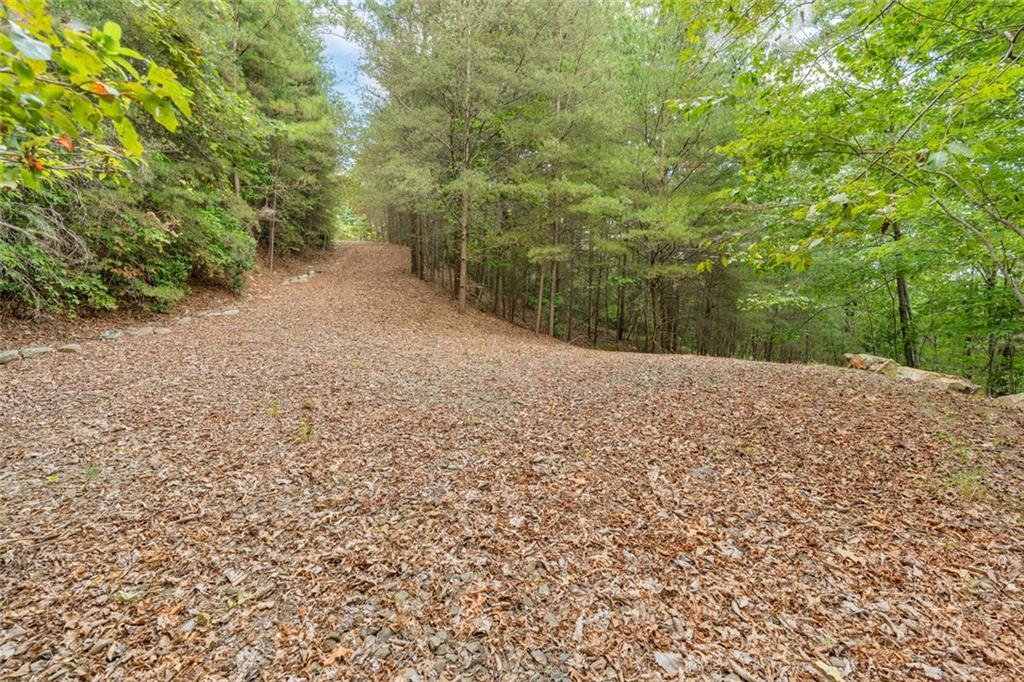 98 Sharp Mountain Parkway Property Photo 11