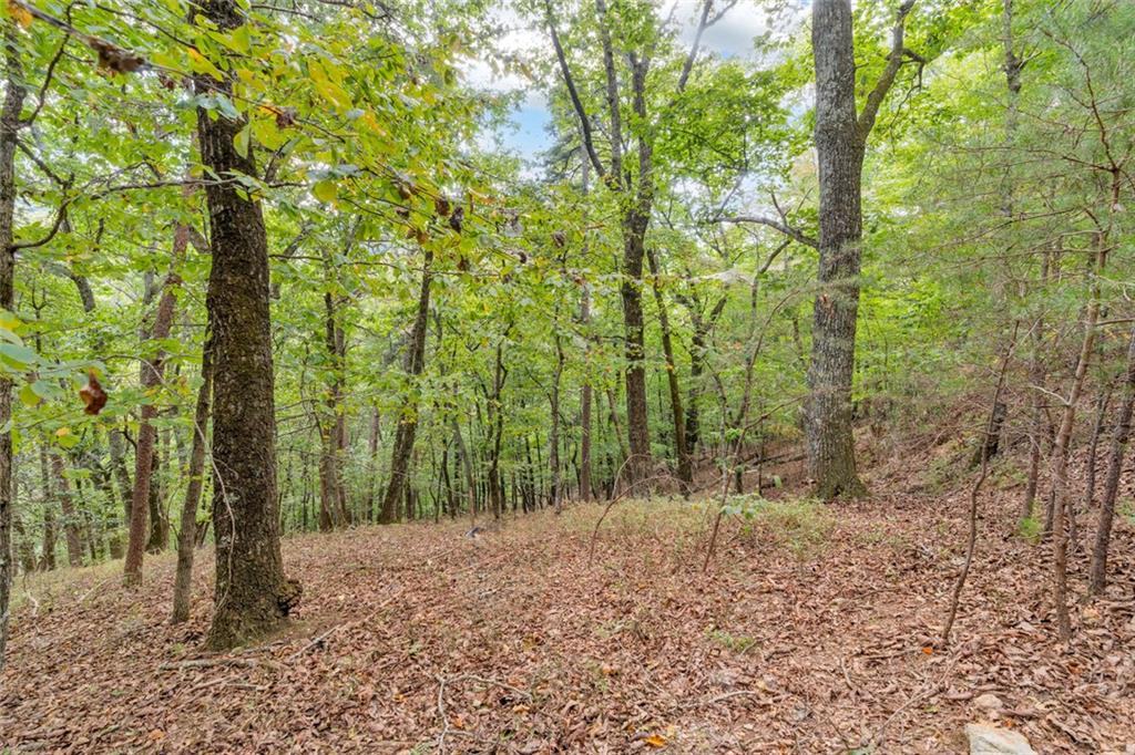 98 Sharp Mountain Parkway Property Photo 12