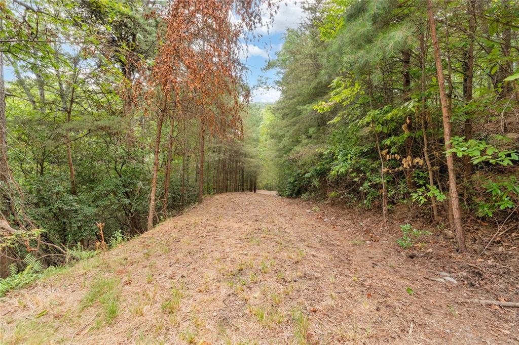 98 Sharp Mountain Parkway Property Photo 13
