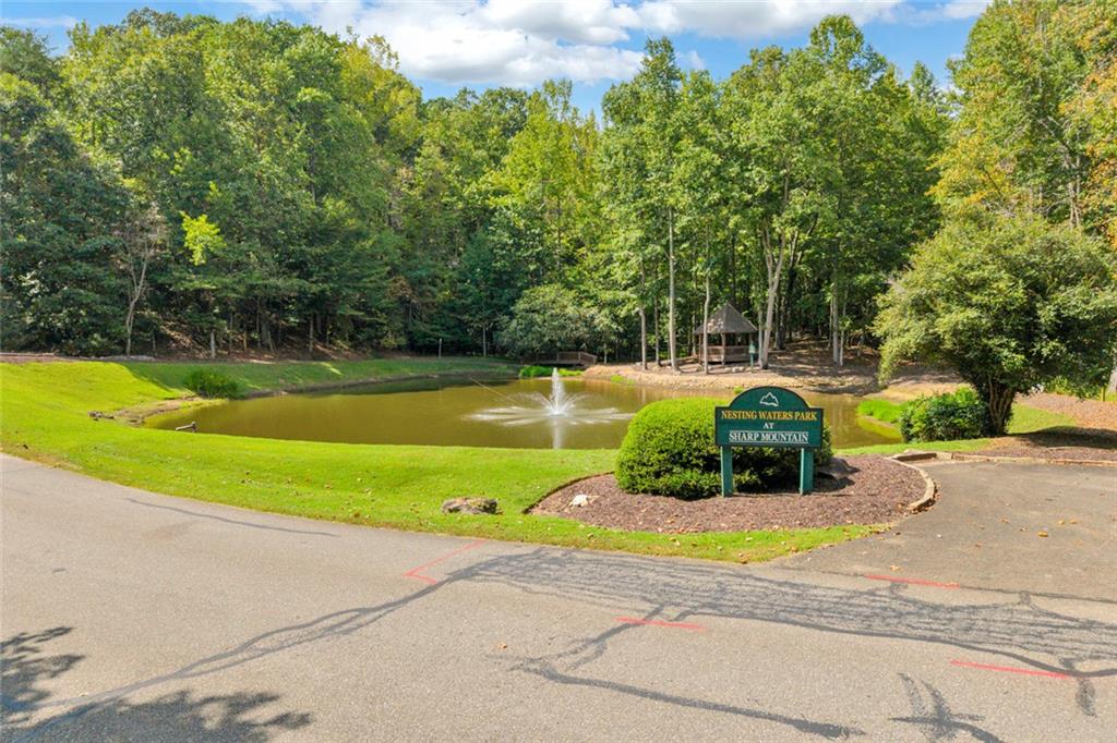 98 Sharp Mountain Parkway Property Photo 19