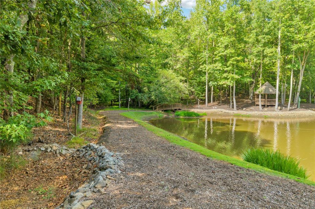 98 Sharp Mountain Parkway Property Photo 20
