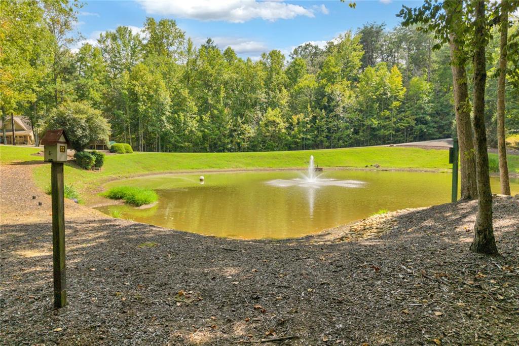 98 Sharp Mountain Parkway Property Photo 21