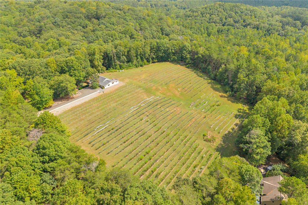 98 Sharp Mountain Parkway Property Photo 26