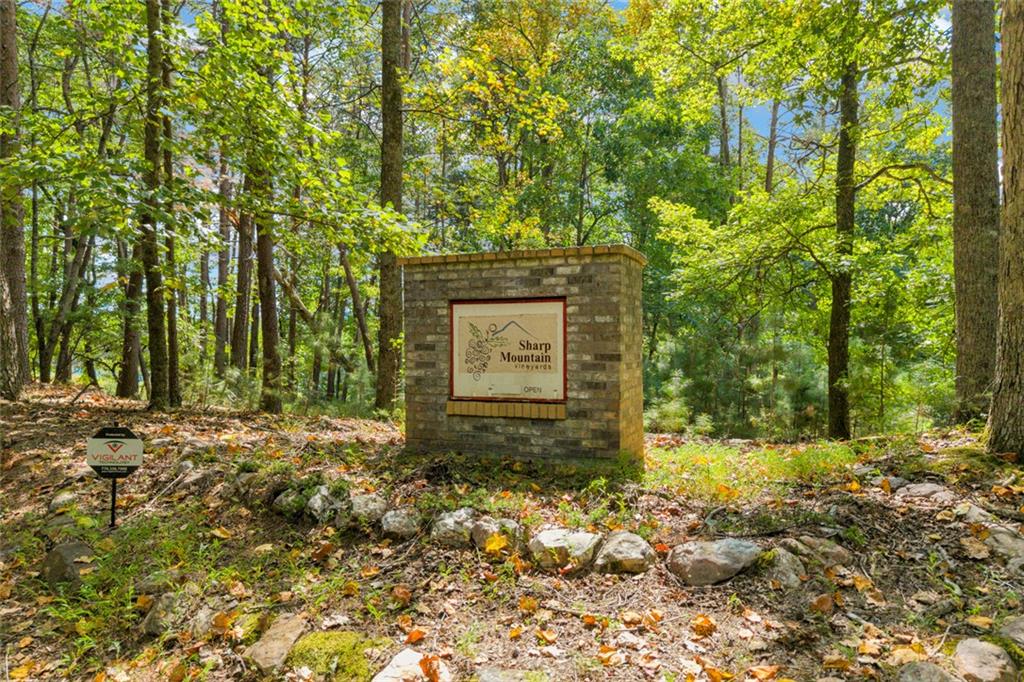 98 Sharp Mountain Parkway Property Photo 27