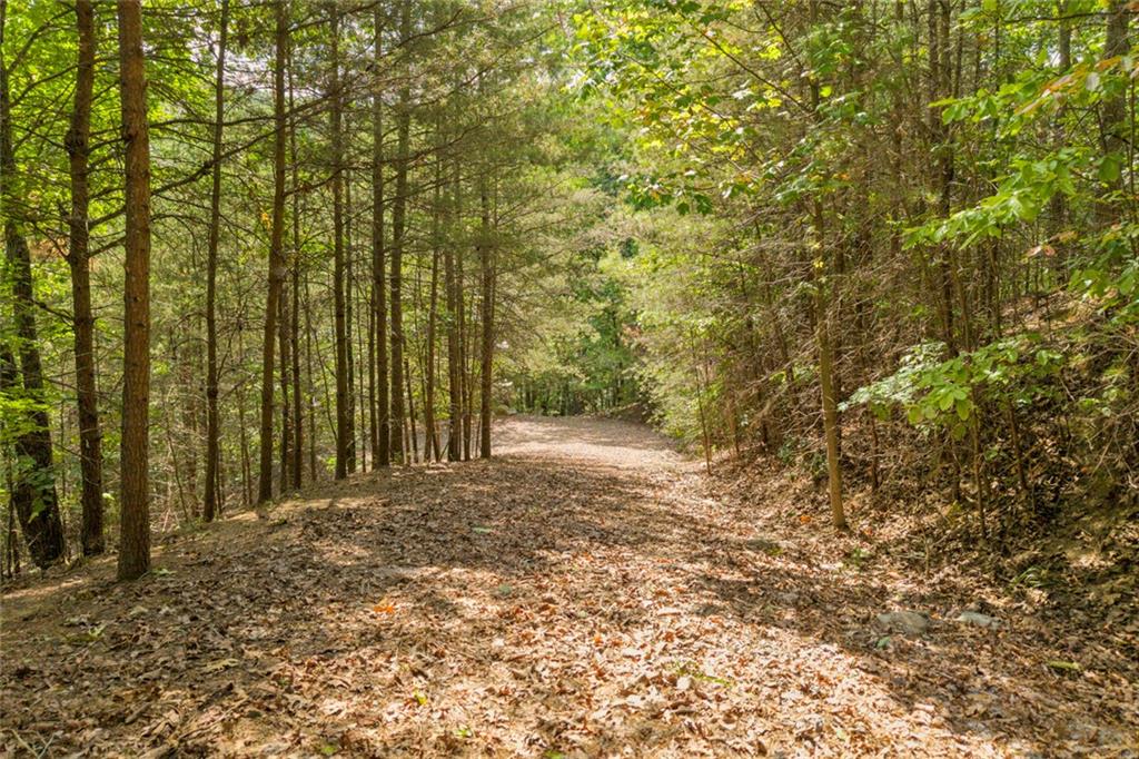 98 Sharp Mountain Parkway Property Photo 34