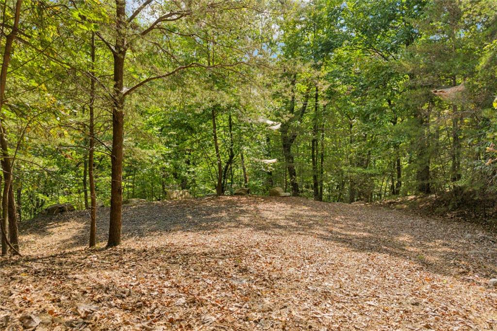 98 Sharp Mountain Parkway Property Photo 35