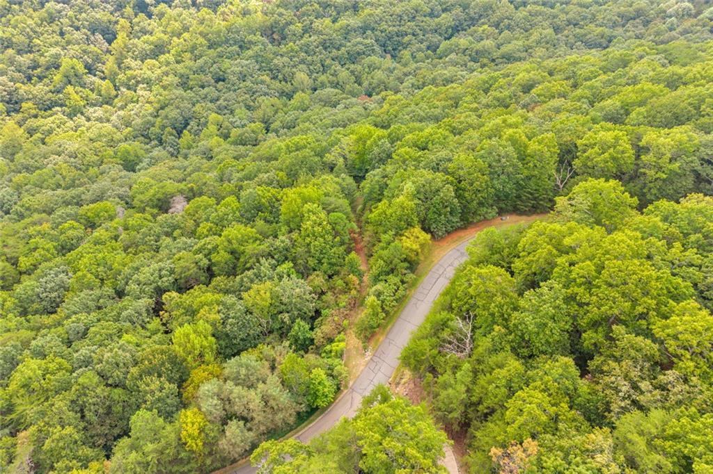 98 Sharp Mountain Parkway Property Photo 37