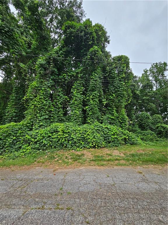 40 Montgomery Lane Property Photo 6