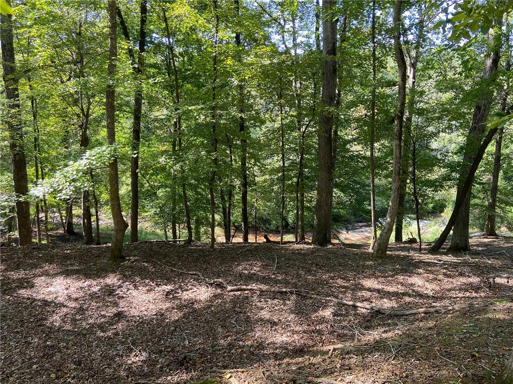 102 Forest Place Property Photo 6