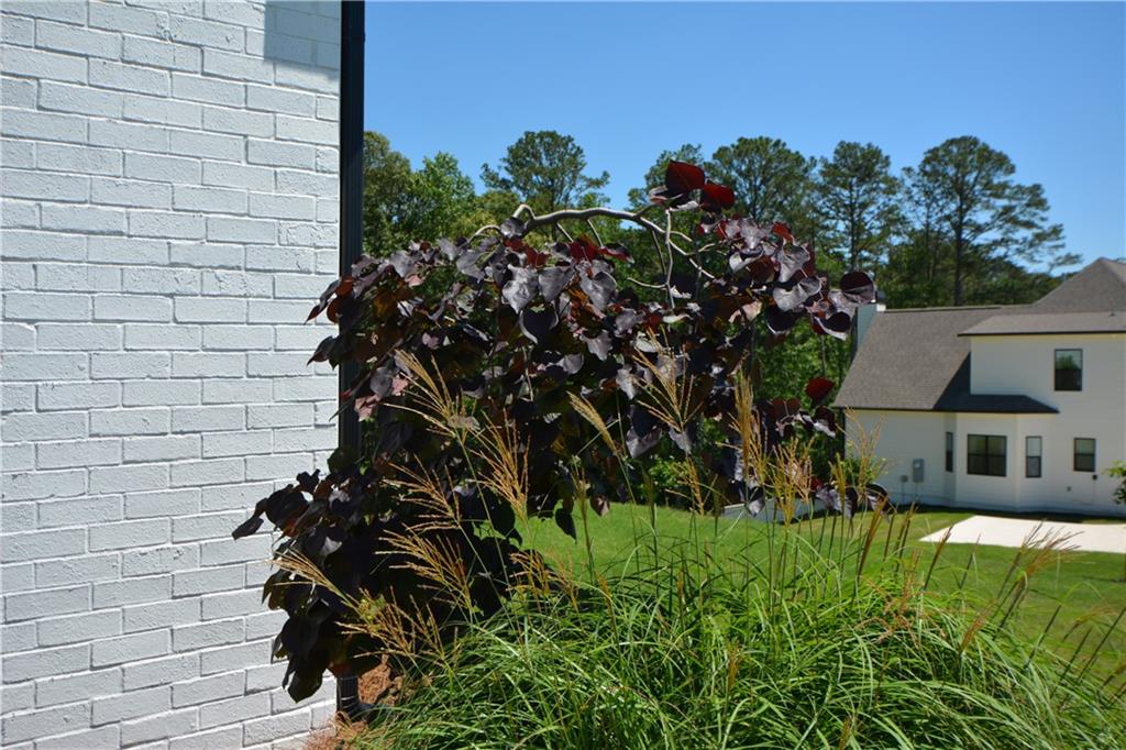 65 Starr Place Property Photo 81