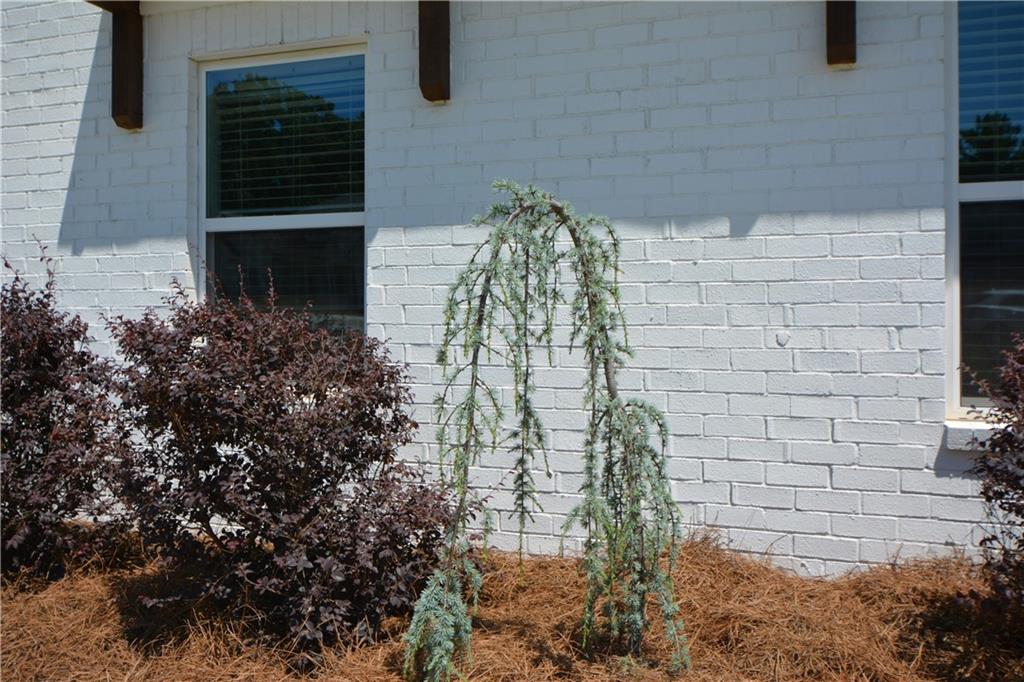 65 Starr Place Property Photo 84