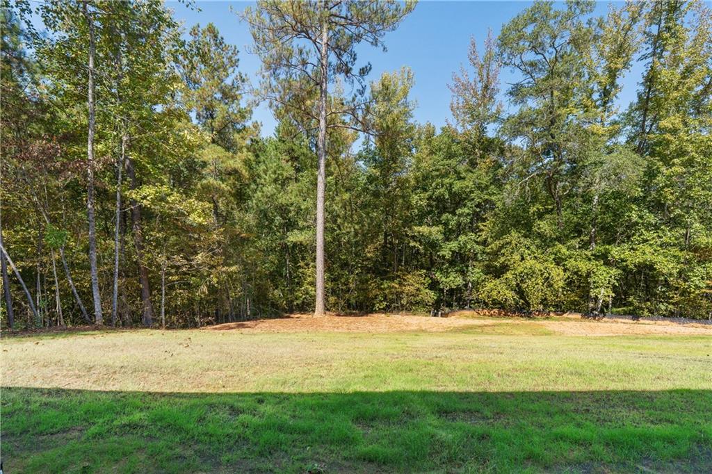 4477 Rivercliff Way Property Photo 11