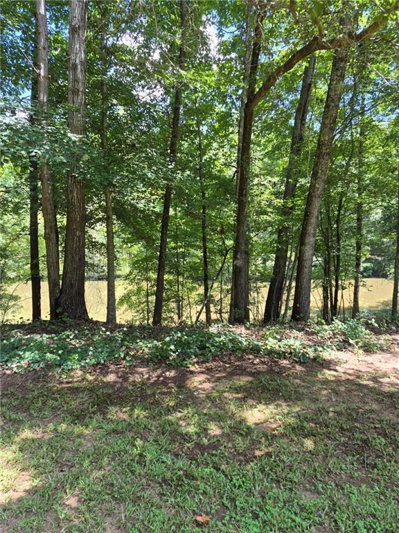 2256 Shadow Wood Drive Property Photo 82