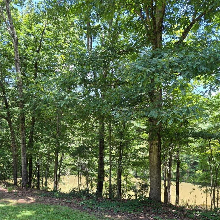 2256 Shadow Wood Drive Property Photo 83